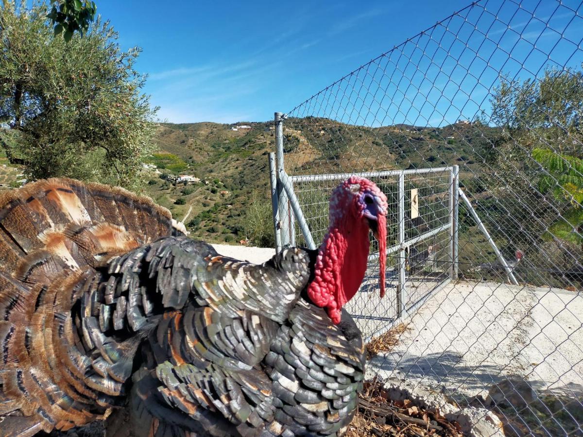 Casa vacanze Paraje El Pozo Málaga