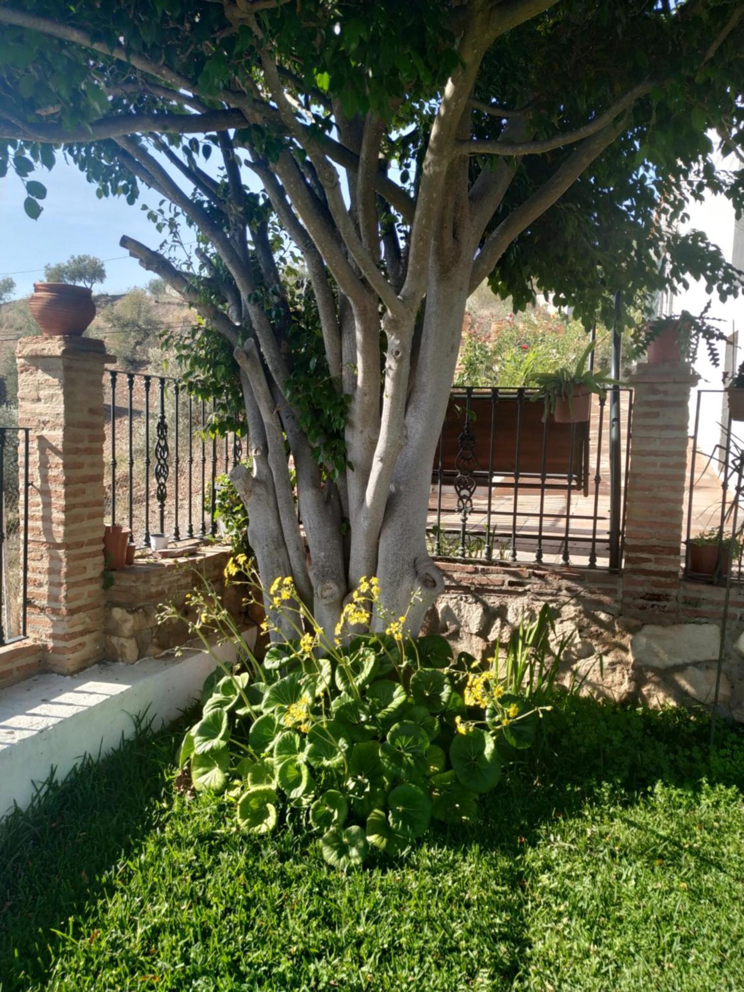 Casa vacanze Paraje El Pozo Málaga