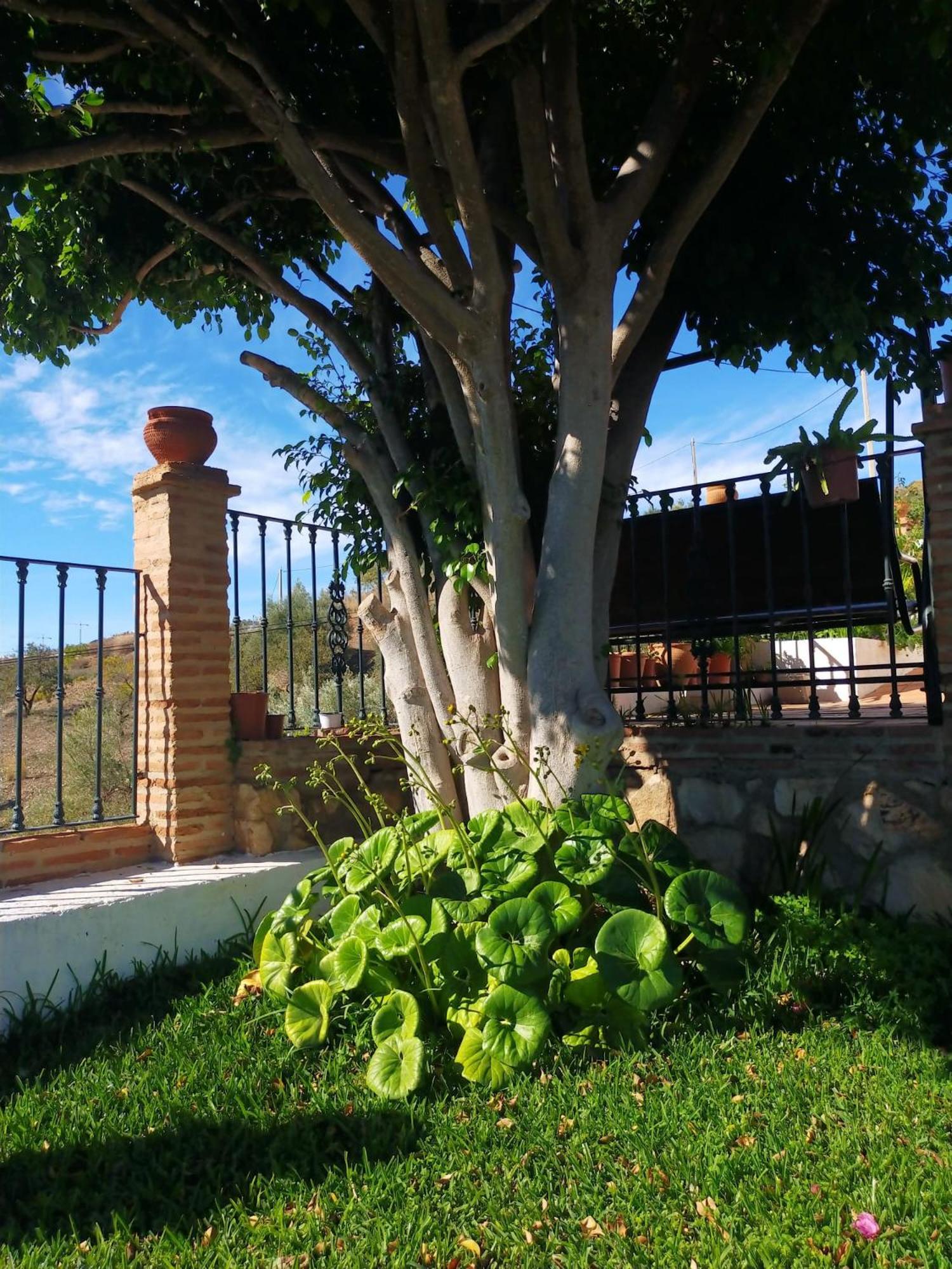 Paraje El Pozo Casa vacanze Málaga