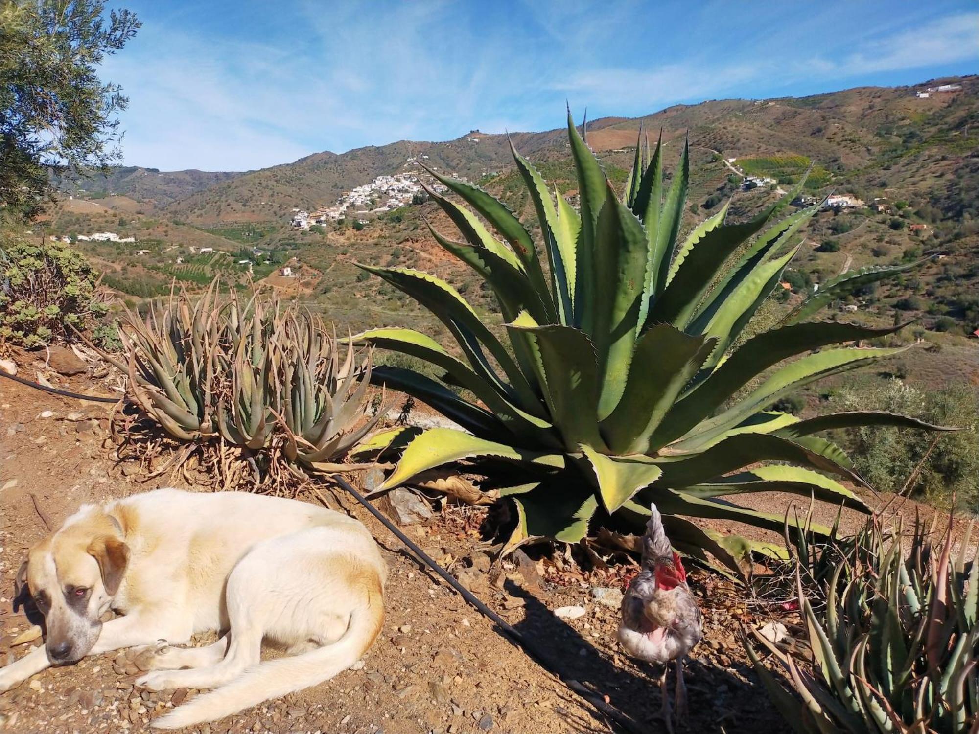 Casa vacanze Paraje El Pozo *