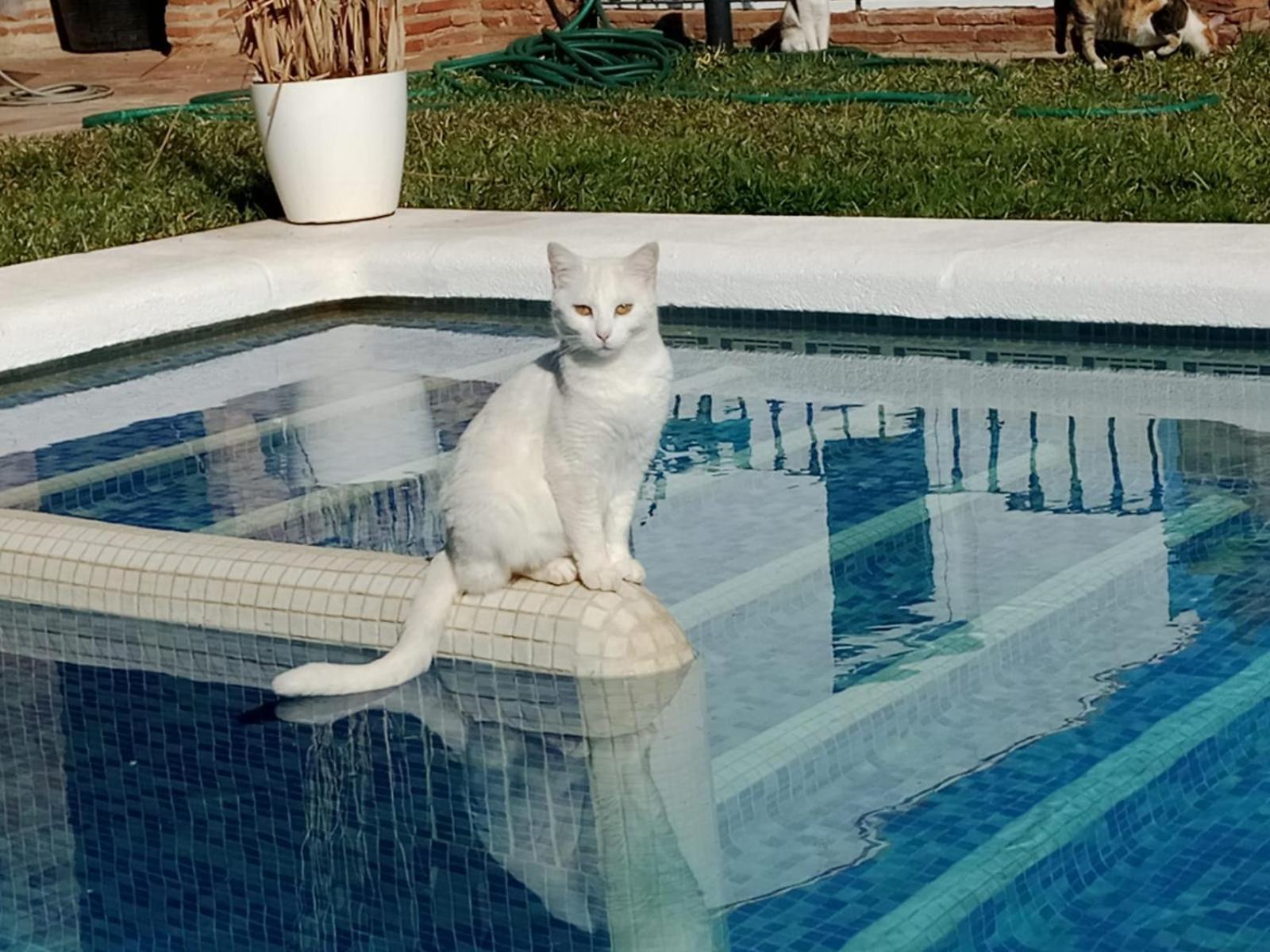 Casa vacanze Paraje El Pozo